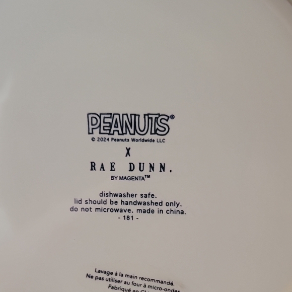 Rae Dunn X Snoopy The Great Pumpkin Canister - Picture 4 of 4